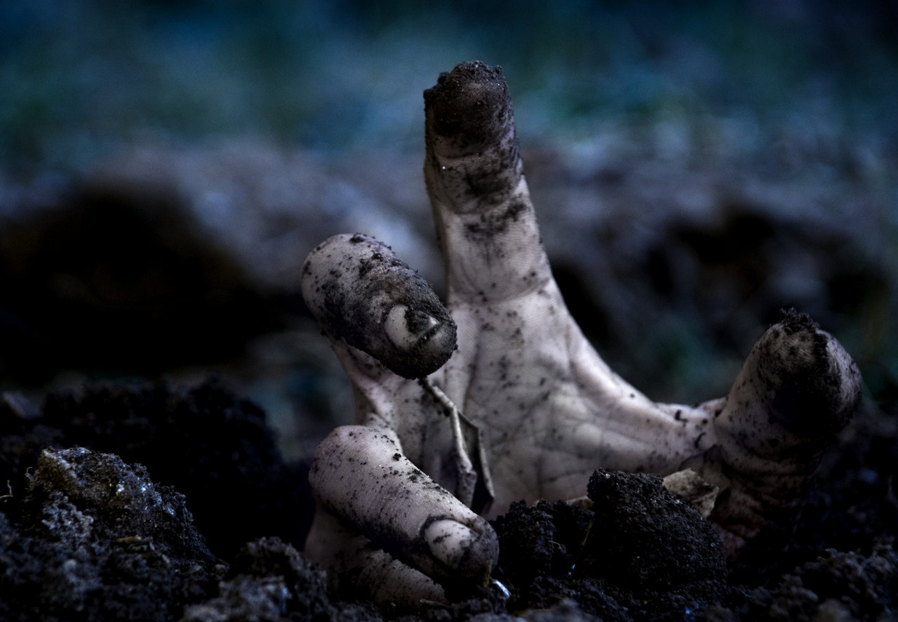 zombie hand reaching up from the dirt